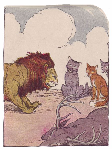 a81d5bb9c79cc1fef8411a436022cd98